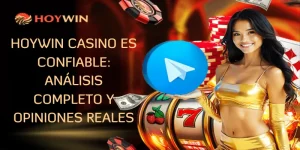 Hoywin Casino Es Confiable